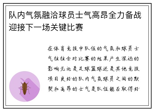 队内气氛融洽球员士气高昂全力备战迎接下一场关键比赛